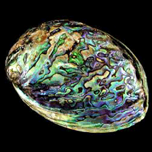 Natural Jewelry with Abalone