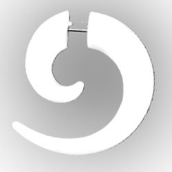 Unique Spiral Bone Earring Fake Gauge Handmade Design PTC004