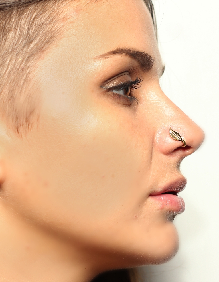 Feather hot sale nose stud