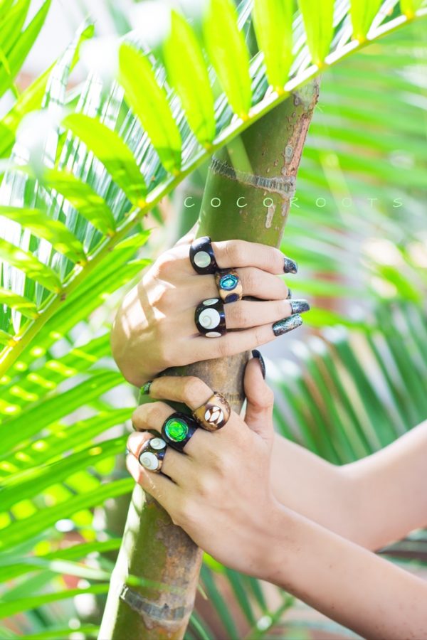 schoner leiderschap Arbeid Sea Shell Coconut Ring Band Organic Natural Abalone Ornament