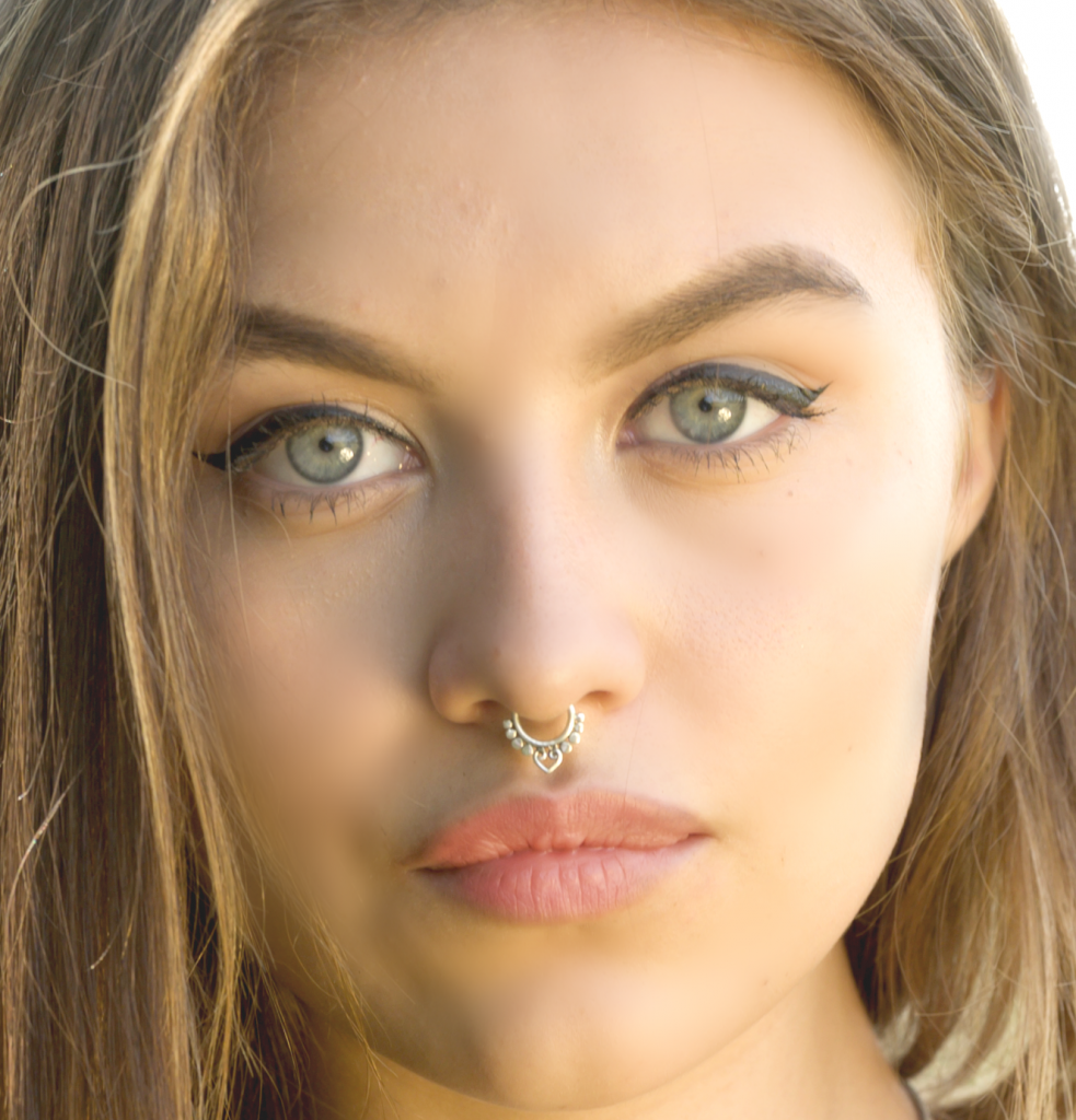 Fake Nose Ring Stainless Steel Horseshoe Magnetic Nose Ring Zircon Inlaid  Flower Nose Ring Earring Nose Stud Ear Clip Piercing Jewelry