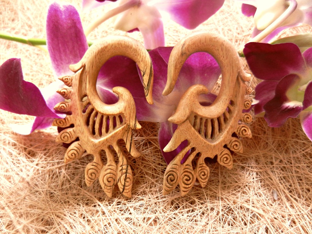 Wooden Exotic Ear Gauge Handmade Organic Natural Kali Design Expander - Image 12