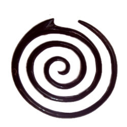 Spiral Buffalo Horn Expander Handmade Natural Ear Gauge PEX049
