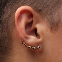 Climber Ear Stud Unique Crawler Brass Earring for Women ECL10