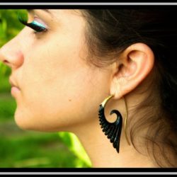 Carved Feather Dot Inlay Horn & Brass Earring ERHBS16