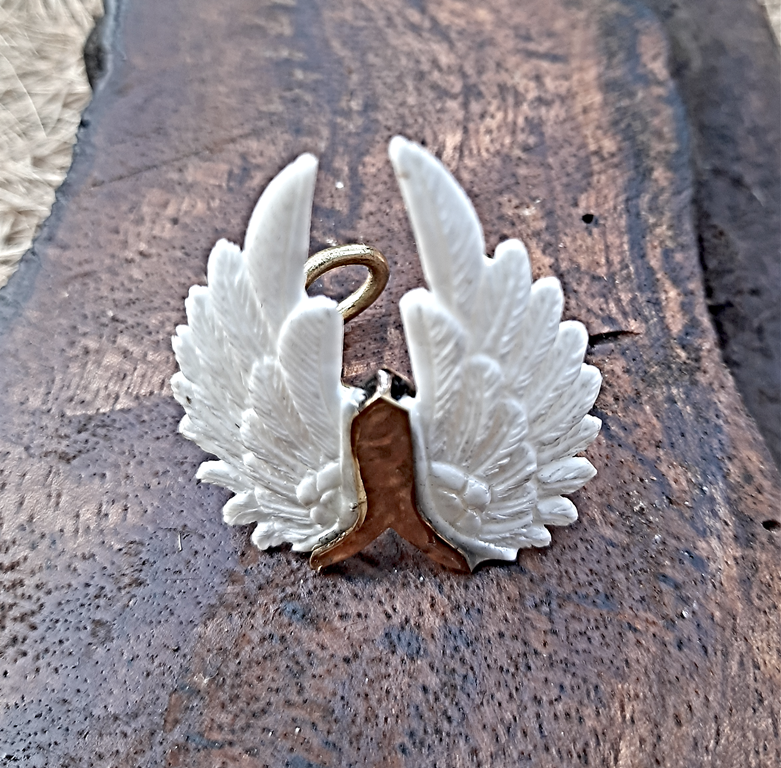 Shop Angel Wing Ring Necklace online in KSA