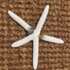 Gold lotus ring on star fish with natural grass carpect