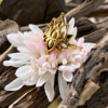 Gold lotus ring, small delicate brass lotus ring, sizes 6 to 8, RGB13 by CocoRoots-5