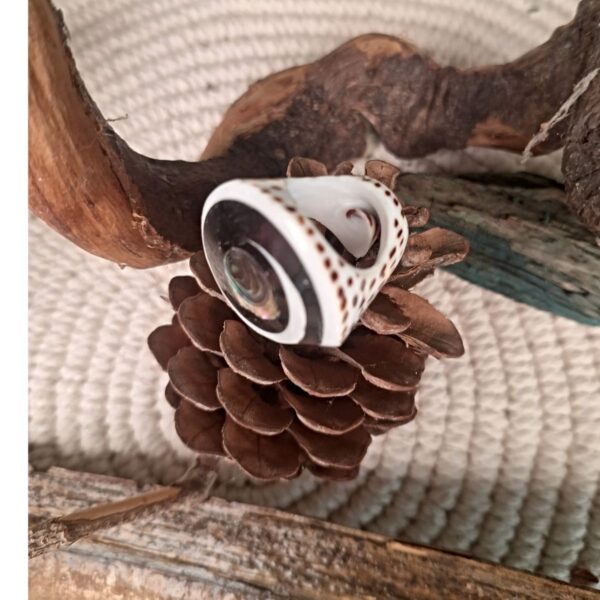 Natural sea shell ring with black spiral and abalone centre on pine cone, CocoRoots
