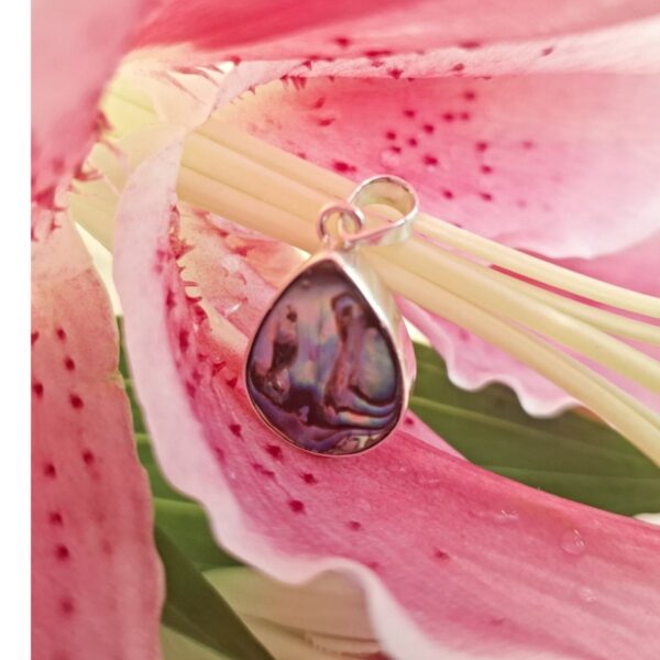 Abalone shell pendant with silver bail, 3.5 x 2 cm, on pink lily