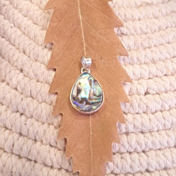 CocoRoots abalone teardrop pendant, blue green shell in 92.5 silver