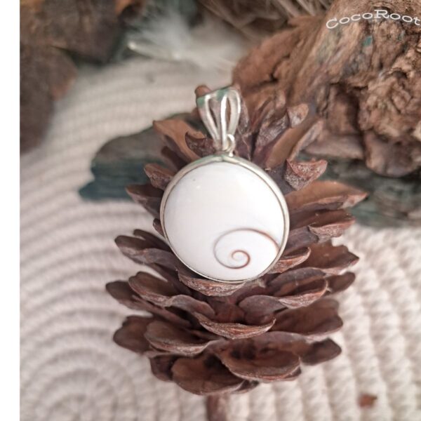 Shiva Eye shell pendant in 92.5 sterling silver, 3.5 x 2 cm, PABSL04 by CocoRoots