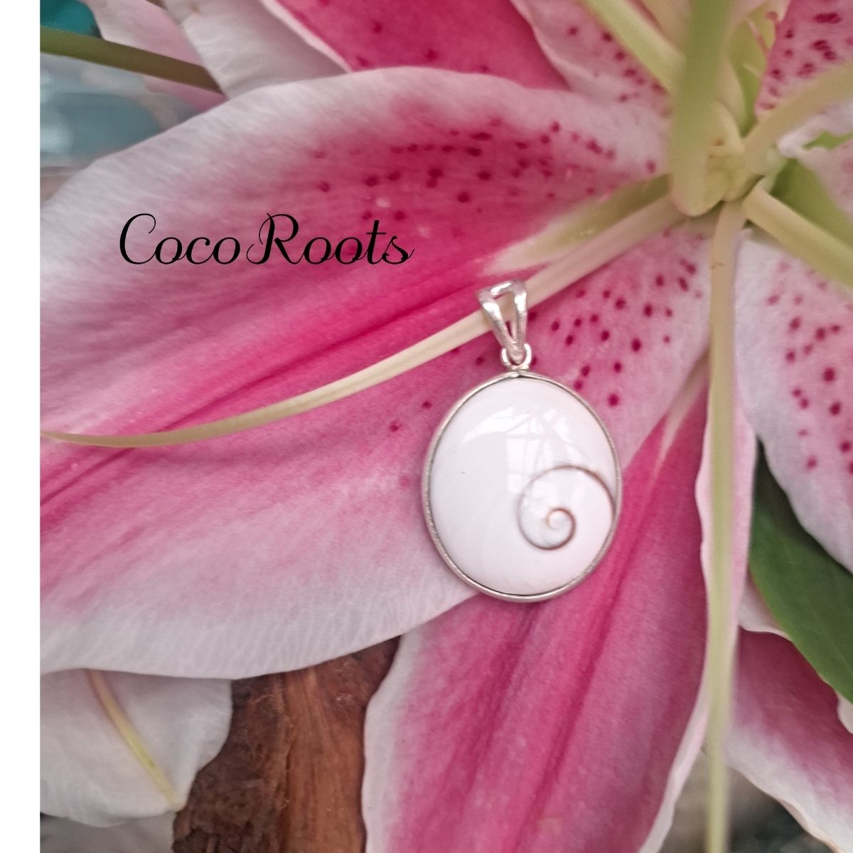 Shiva Eye shell pendant in 92.5 sterling silver, 3.5 x 2 cm, PABSL04 by CocoRoots