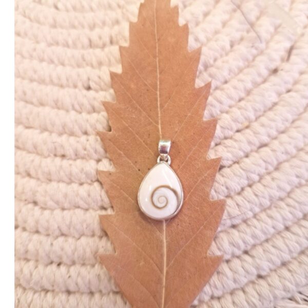 Shiva Eye teardrop pendant in silver on autumn leaf